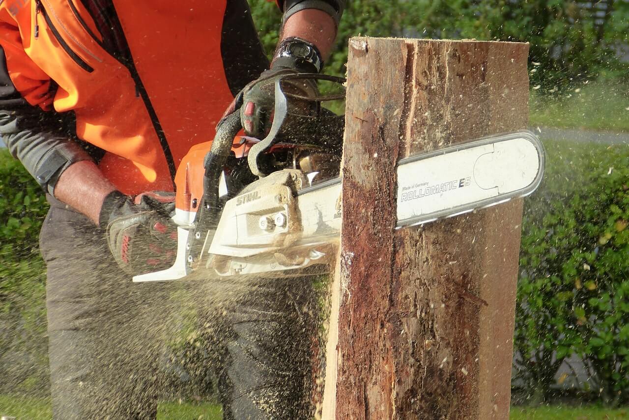 Cutting a tree log vertically