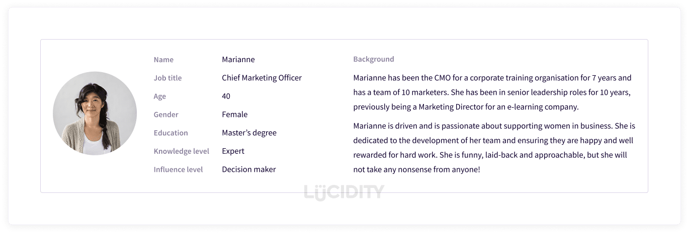 Profile section with demographics from a CMO persona completed in Lucidity strategy software